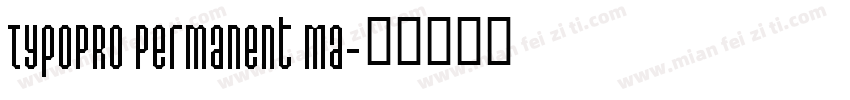 TypoPRO Permanent Ma字体转换